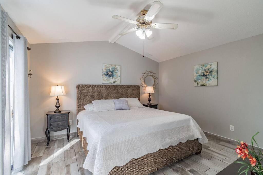Town 'N' Country Cozy Corner, Your Florida Fun Hub Villa Tampa Exterior photo