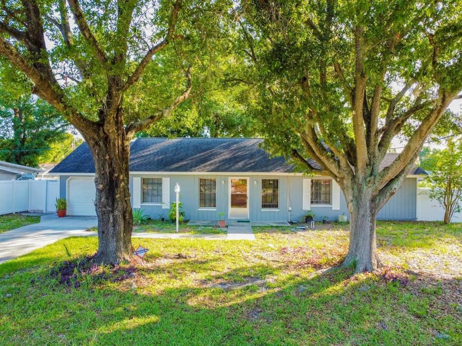 Town 'N' Country Cozy Corner, Your Florida Fun Hub Villa Tampa Exterior photo